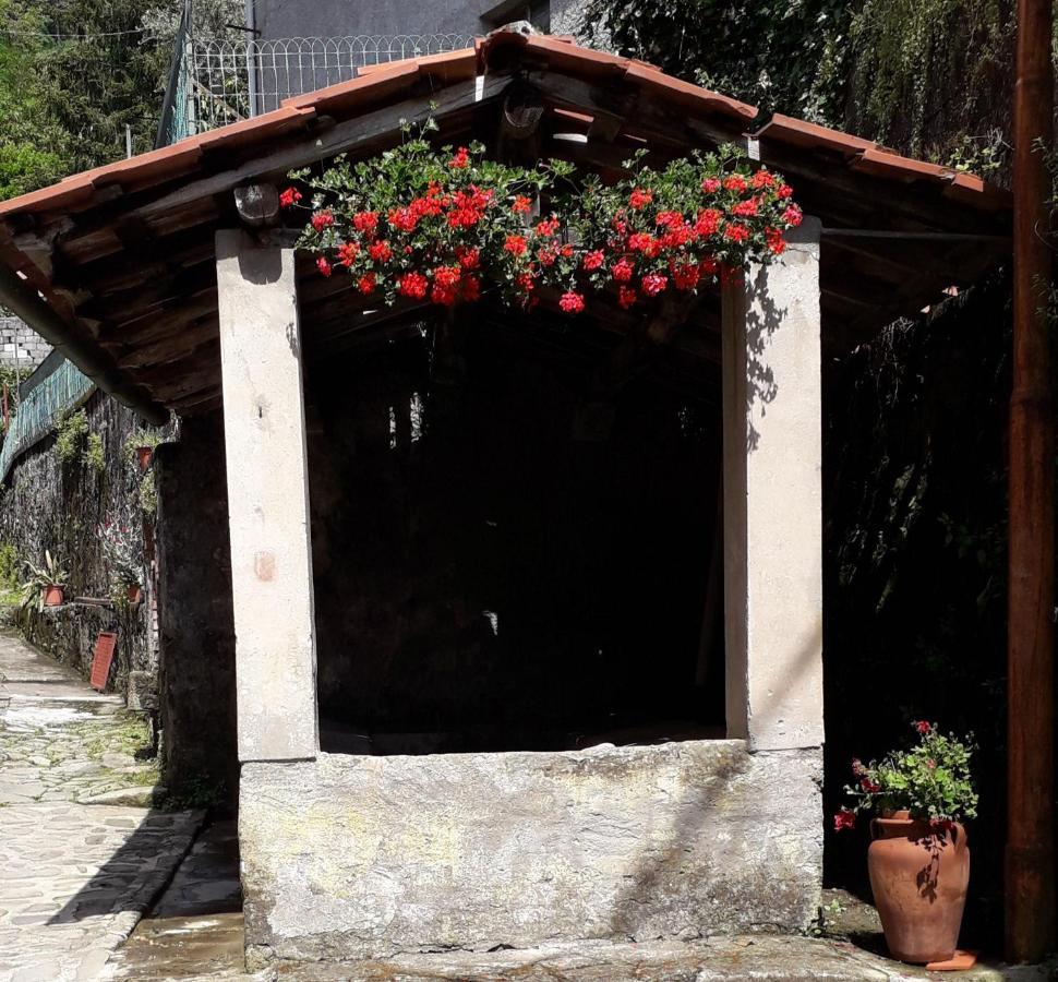 فيلا Casa Ginevra باني دي لوكا المظهر الخارجي الصورة